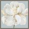 Garden Queen II (White Peony Flower) by Asia Jensen 16-in. W x 16-in. H. Canvas Wall Art Print Framed in Grey